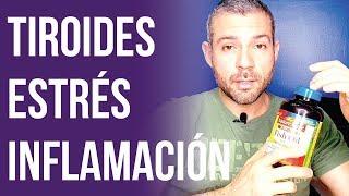 Suplementos Para la Tiroides, Inflamación, Estrés, Salud y Fitness - Cómo Tomar Creatina