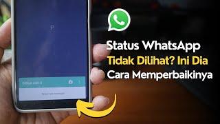 Cara Mengatasi Status WhatsApp Tidak Ada Yang Melihat