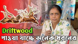 অনেক ধরনের Driftwood পাওয়া যাচ্ছে শ্রীরামপুর হাটে |   Serampore Pet Market Fish