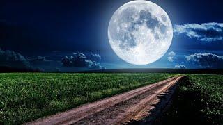 Полнолуние 1 августа 2023 года: что предвещает Осетровая Луна.