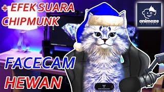 Cara Membuat Facecam Hewan + Efek Suaranya | OBS Untuk Recording dan Streaming