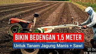 BIKIN BEDENGAN 1,5 METER PAKAI TRAKTOR QUICK KRONOS - Untuk Tanam Jagung Manis dan Sawi