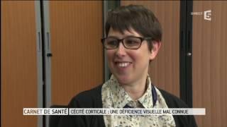 Unité Vision et Cognition, Cécité corticale