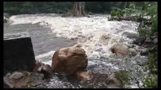 Rajapalayam Ayyanar falls