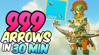 How to get 999 Arrows in 30 Minutes in Zelda Tears of the Kingdom