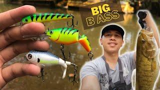 Incredible Explosion on These 3 Lures_2.6lb Personal Bass