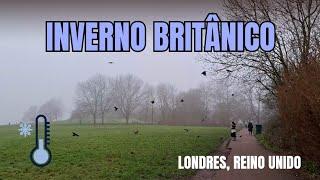 Nevoeiro baixa em Londres em mais um dia gelado e úmido - 27/12/2024