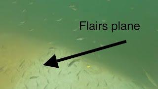 Insane underwater footage of flairs plane (fish everywhere)