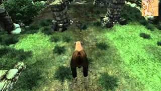 Druid Mod Remade, Bear Form