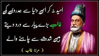 Mirza Ghalib Quotes Urdu | मिर्ज़ा ग़ालिब के शेर हिंदी मै | मिर्जा गालिब की दर्द भरी शायरी