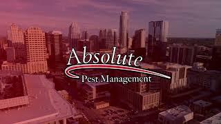 Absolute Pest Management - Austin Texas Attic Restoration