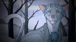 jayfeather and flametail edit FW️ | warrior cats (art by Mudshadow + Mary_MS_Jay)