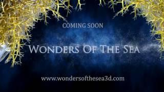 Wonders of the Sea 3D Teaser