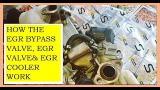 HOW THE EGR VALVE, BYPASS VALVE & EGR COOLER WORK