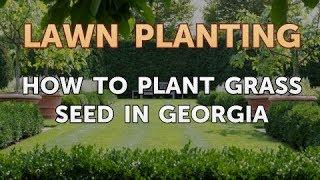 How to Plant Grass Seed in Georgia