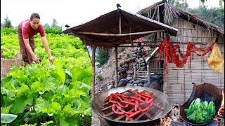 survival in the rainforest-woman cut taiwanese bok choy & cook​ with sausage -Eating delicious HD