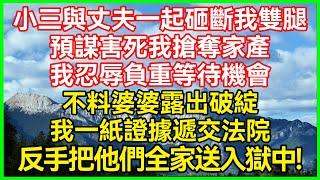 小三与丈夫一起砸断我双腿！预谋害死我抢夺家产！我忍辱负重等待机会！不料婆婆露出破绽！我一纸证据递交法院！反手把他们全家送入狱中！#生活经验#情感故事#深夜浅读#幸福人生#生活经验#情感故事#深夜浅读