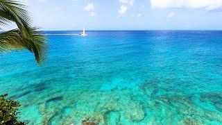 Island View: 6 Hours of Tropical Calm From The Caribbean (4K Video)