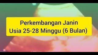 Perkembangan Janin Usia 25-28 Minggu (Hamil 6 Bulan)