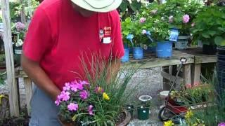 Demonstration how to cut down on your watering with Soil Moist.mp4