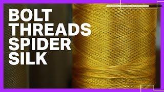 Bolt Threads uses spider silk to make apparel