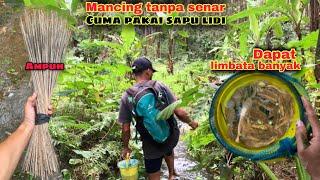 Mancing channa limbata pakai sapu lidi tanpa senar, lentur sekali dan mudah dapat ikan!!!