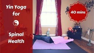 Yin Yoga for a Healthy Spine {40 mins} | Full Sequence for Spinal Health
