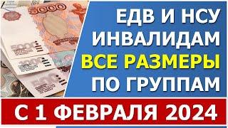 Размеры ЕДВ и НСУ по инвалидности в 2024 г. Размер ЕДВ инвалидам 1,2,3 групп и детям-инвалидам.