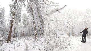 Snow Hiking in Germany (Hohe Acht, Eifel, Deutschland)