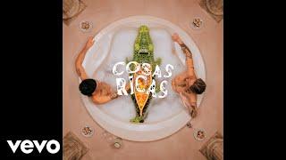 CA7RIEL & Paco Amoroso - COSAS RICAS (Visualizer)