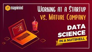 Working at a Startup vs. Mature Company - Data Science in a Nutshell