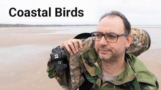 The Realities of Bird Photography On The UK Coast (Canon R6 & Canon EF Lenses)