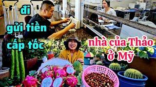 Gửi tiền về Việt Nam sau đợt mưa bão, toàn cảnh vườn nhà Thảo ở Mỹ