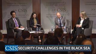 Navigating Security Challenges in the Black Sea Region