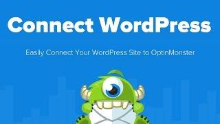 How to Use OptinMonster with Your WordPress Website