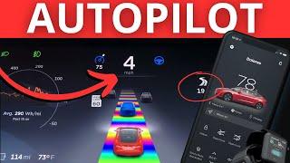 TOP 11 Tesla AutoPilot Tips