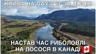 #287. Жнива на паузі. Риболовля лосося в Канаді!