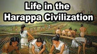 Life in the Harappa civilization | 9th Std | History | ICSE Board | Home Revise