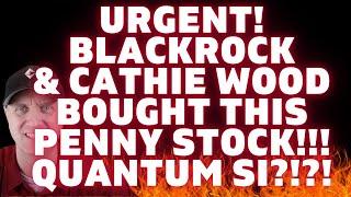 URGENT!  BLACKROCK and CATHIE WOOD Both Bought This Penny Stock!    (QUANTUM SI)