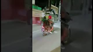 Joko kendil naik motor macan putih