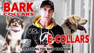 What’s the Difference between Bark Collars and E-Collars?  How to use an Anti Bark Collar