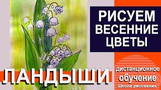 Как нарисовать ландыши? Научимся рисовать ландыши акварелью.