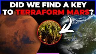 Eyeball Exoplanet // A Plant to Terraform Mars // Smelly Find by JWST