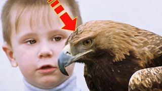 Орёл внезапно схватил ребенка и улетел  Причина повергла всех в панику!