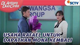 Aneh! Tumben Amat Rafael Kasih Kejutan Untuk Mona | Di Antara Dua Cinta - Episode 297