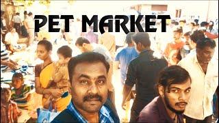 PET MARKET | BROADWAY CHENNAI..