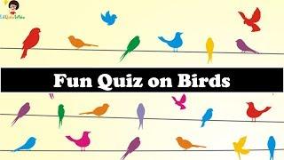 Magnificent Birds Quiz | General Knowledge