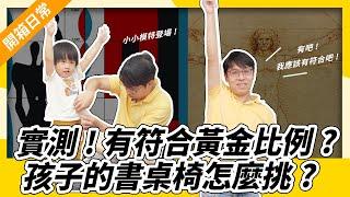 黃金比例在哪裡？用數學來精準挑選適合的桌椅