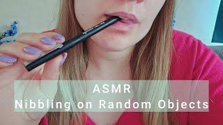 ASMR - Nibbling on Random Objects