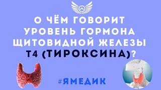 Тироксин (Т4): как сдавать, его норма, показания к сдаче, причины повышения и снижения